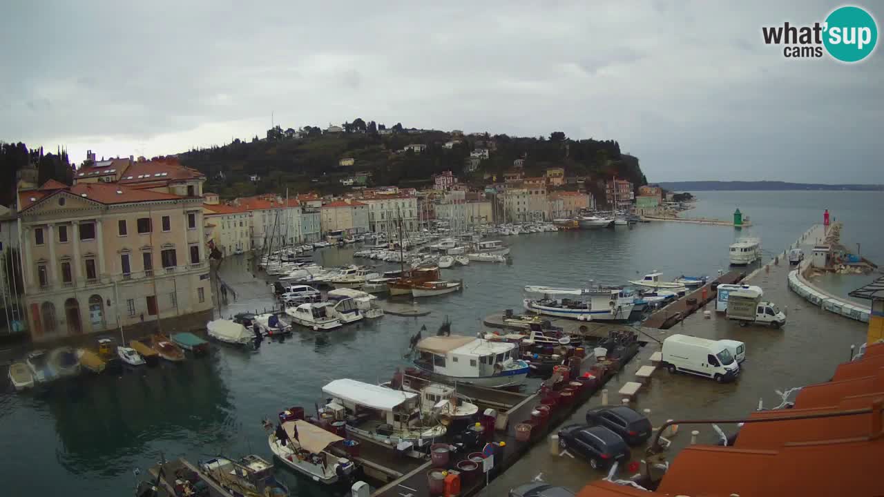 Webcam en direct de Piran “Mandrač” – Incroyable vue en direct de la Villa Piranesi