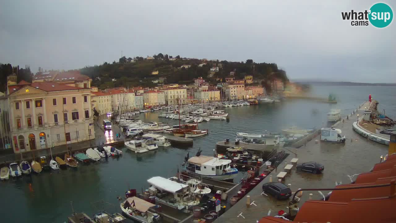 Live-Webcam aus Piran “Mandrač” – Erstaunliche Live-Ansicht von Villa Piranesi