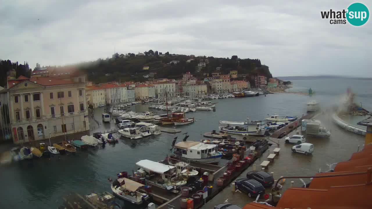 Live webcam from Piran “Mandrač” – Amazing live view from Villa Piranesi