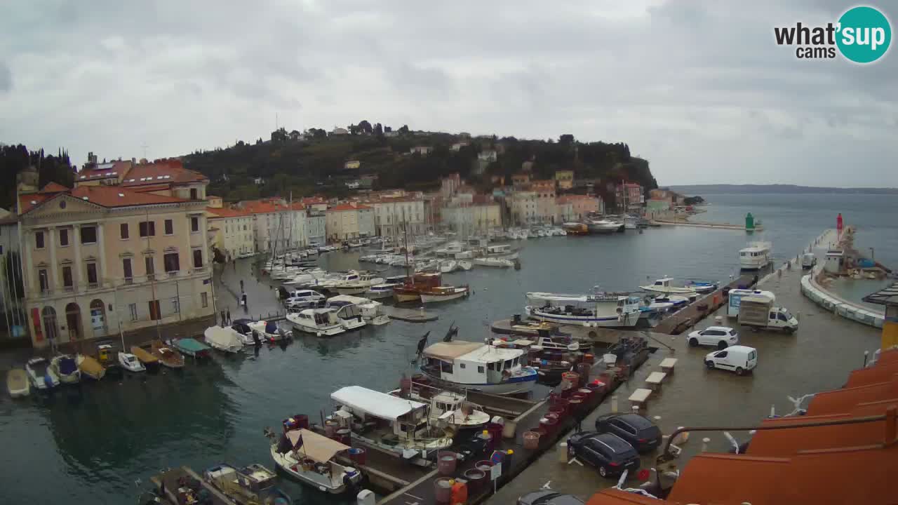 Live webcam da Pirano “Mandrač” – Splendida vista live da Villa Piranesi