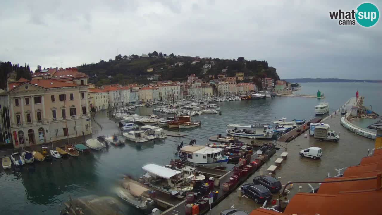 Live webcam da Pirano “Mandrač” – Splendida vista live da Villa Piranesi