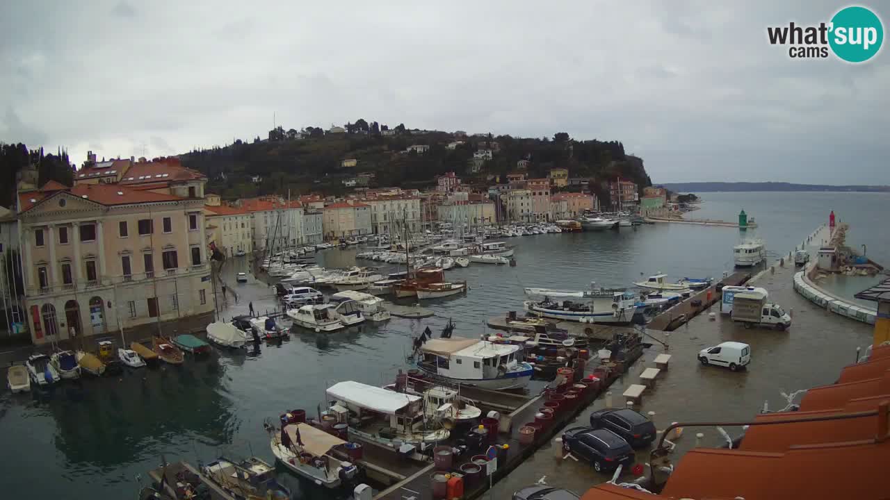 Webcam en direct de Piran “Mandrač” – Incroyable vue en direct de la Villa Piranesi