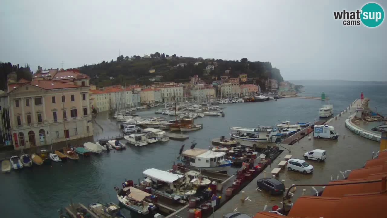 Webcam en direct de Piran “Mandrač” – Incroyable vue en direct de la Villa Piranesi