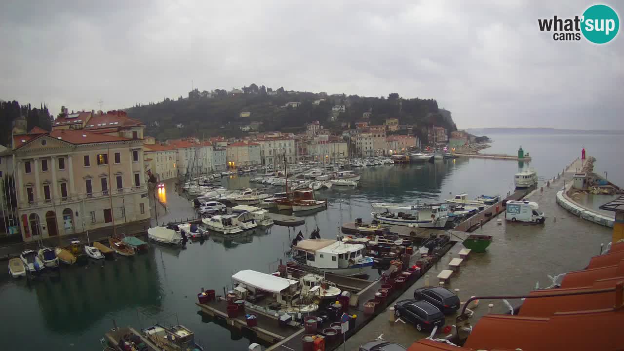 Live webcam da Pirano “Mandrač” – Splendida vista live da Villa Piranesi