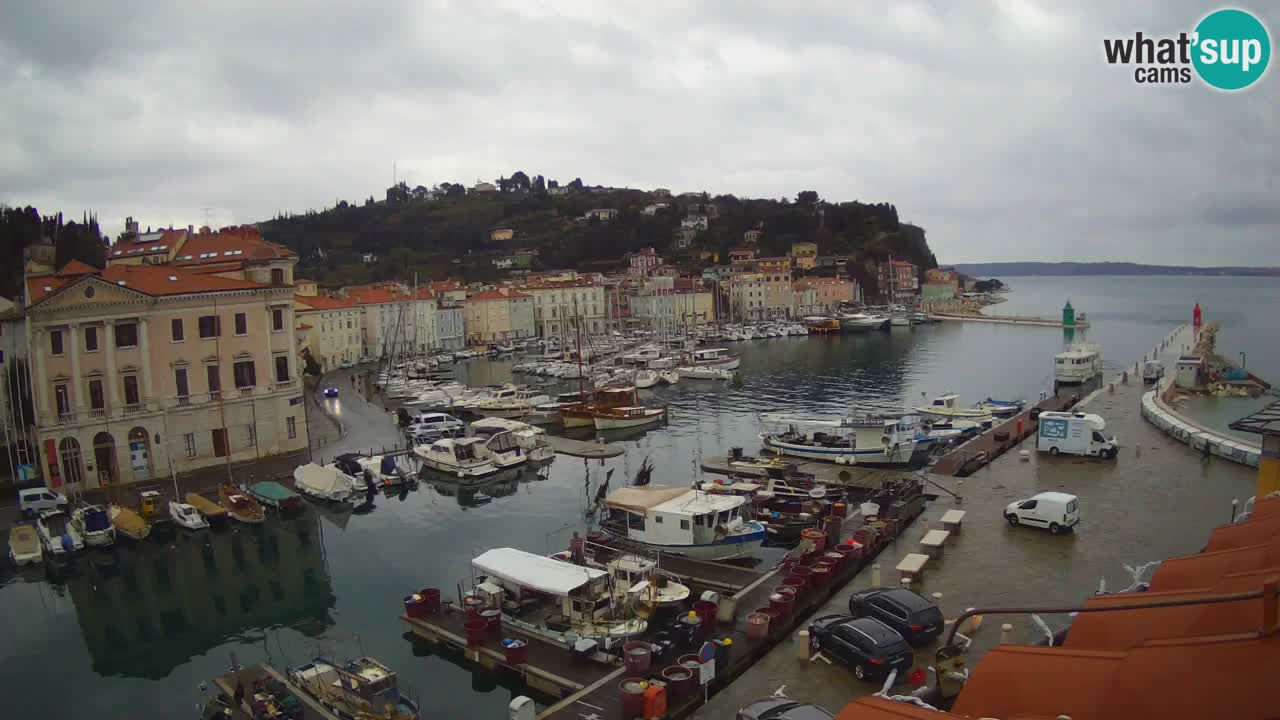 Web kamera uživo iz Pirana “Mandrač” – Nevjerojatan pogled uživo iz Ville Piranesi