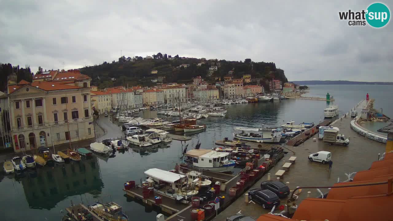 Live webcam da Pirano “Mandrač” – Splendida vista live da Villa Piranesi
