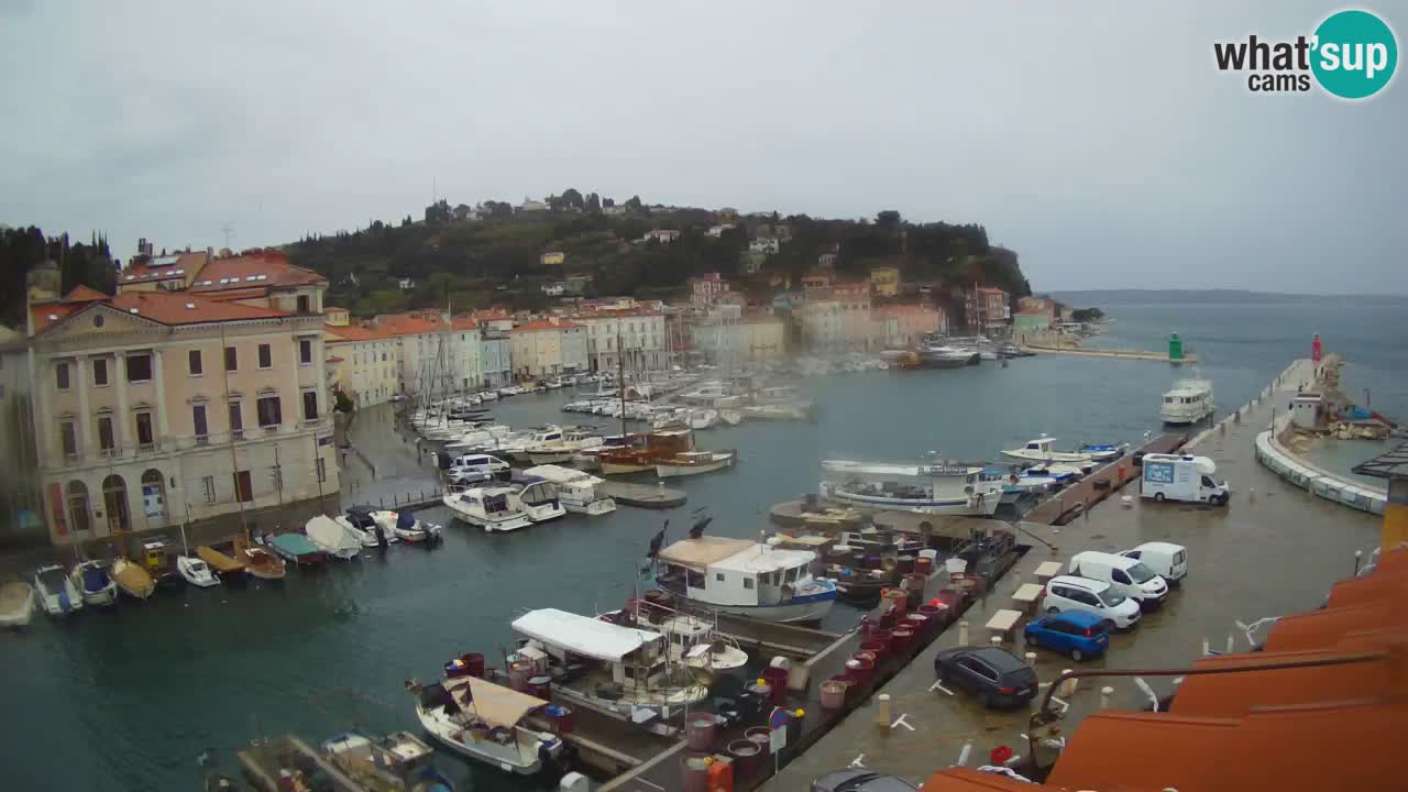 Cámara web en vivo desde Piran “Mandrač” – Increíble vista en vivo desde Villa Piranesi