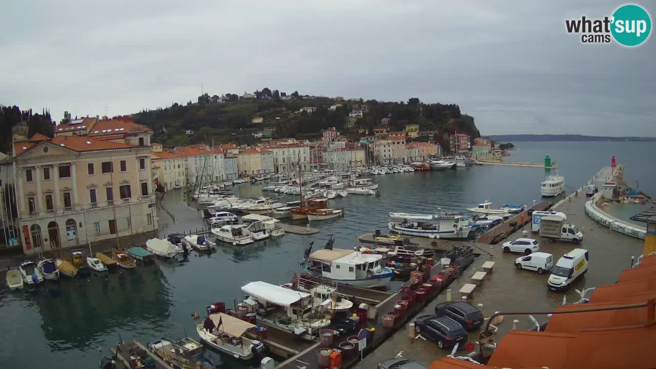 Live-Webcam aus Piran “Mandrač” – Erstaunliche Live-Ansicht von Villa Piranesi