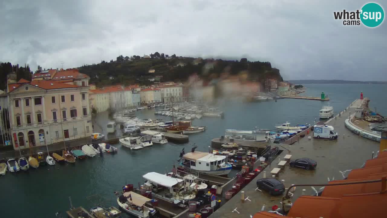 Live webcam da Pirano “Mandrač” – Splendida vista live da Villa Piranesi
