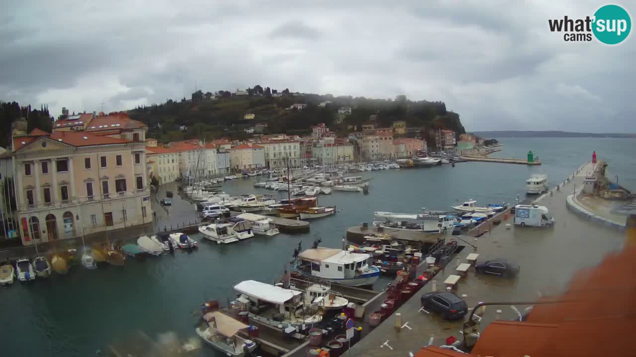 Live-Webcam aus Piran “Mandrač” – Erstaunliche Live-Ansicht von Villa Piranesi