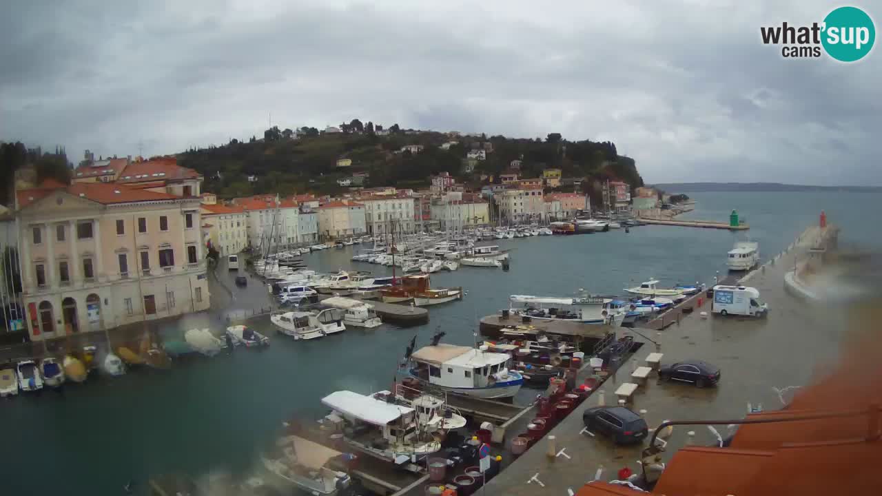 Live-Webcam aus Piran “Mandrač” – Erstaunliche Live-Ansicht von Villa Piranesi