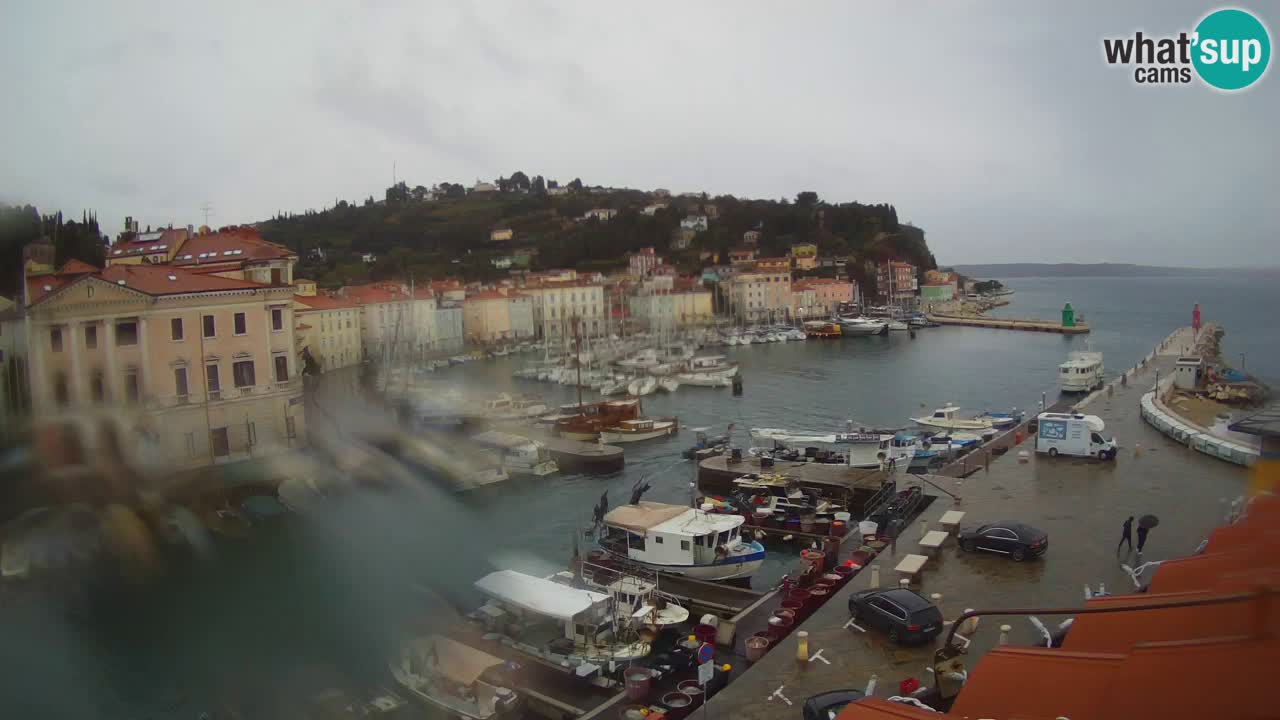 Webcam en direct de Piran “Mandrač” – Incroyable vue en direct de la Villa Piranesi