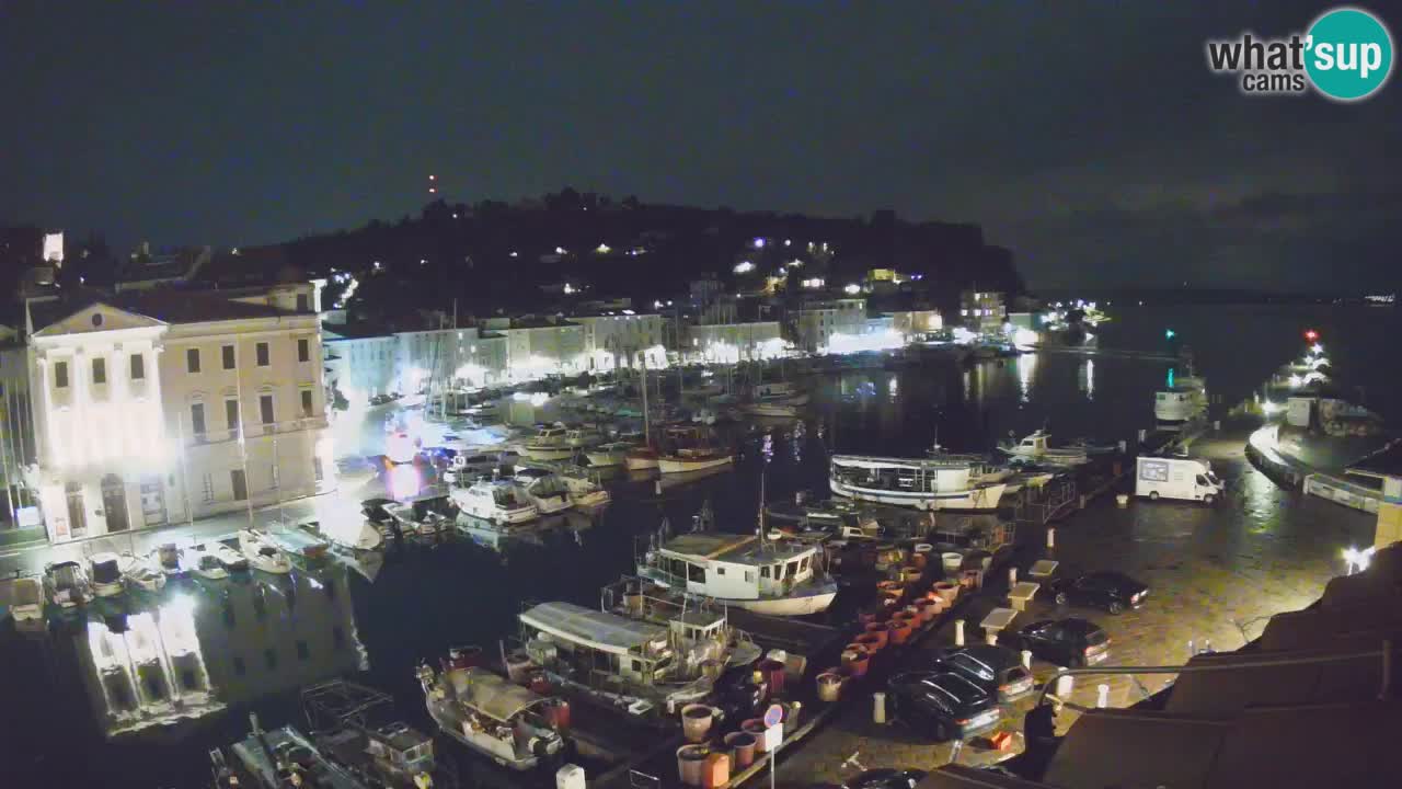 Iz Pirana Spletna kamera v živo “Mandrač” – Neverjeten pogled v živo iz Vile Piranesi