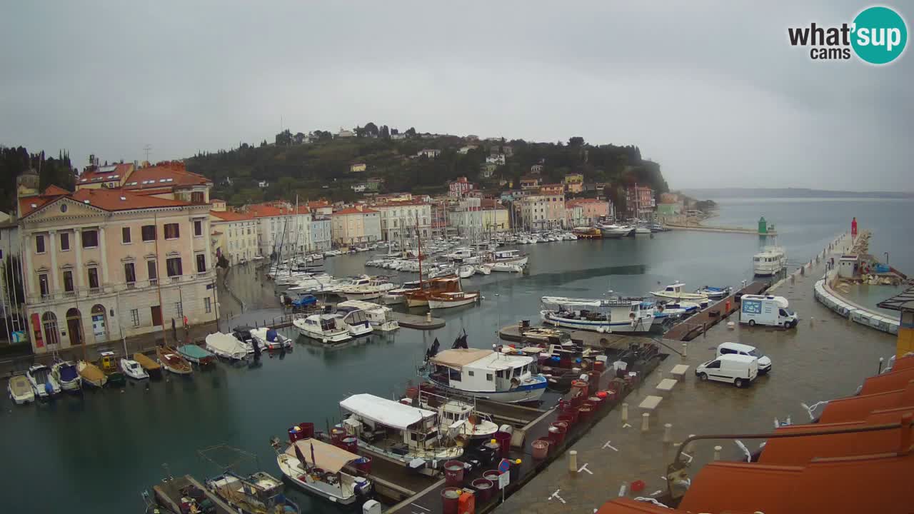 Cámara web en vivo desde Piran “Mandrač” – Increíble vista en vivo desde Villa Piranesi