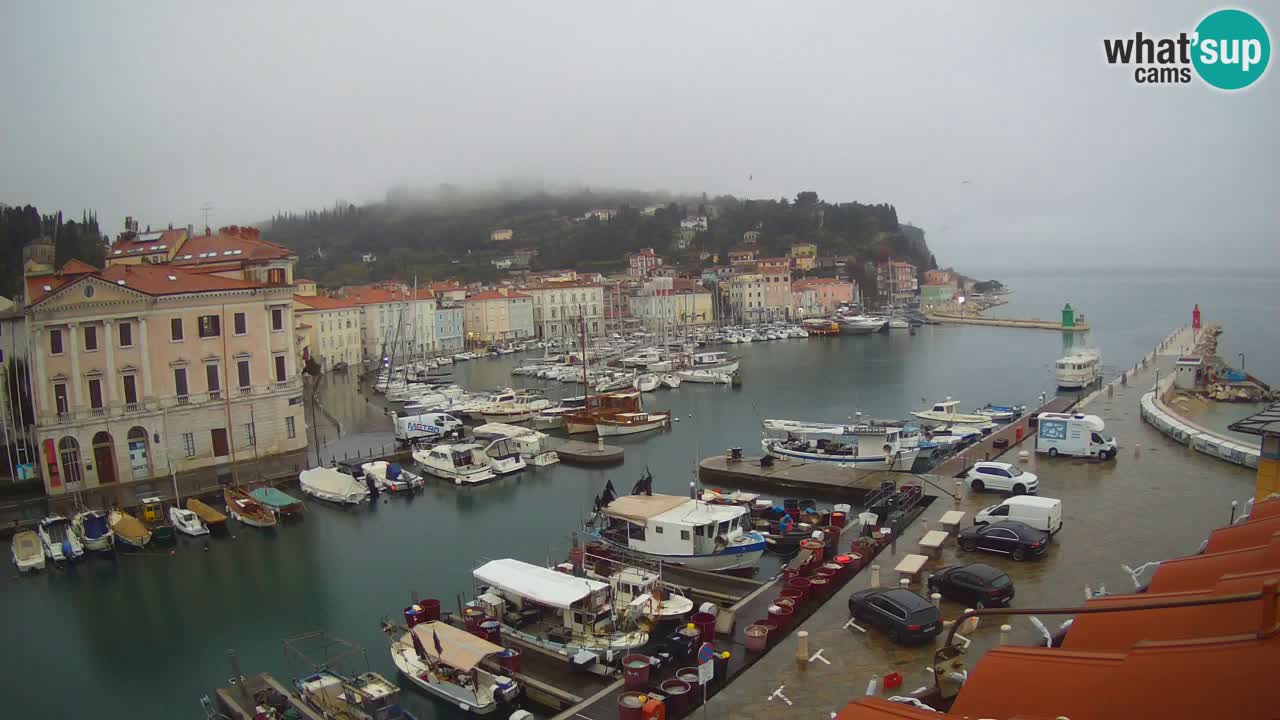 Live-Webcam aus Piran “Mandrač” – Erstaunliche Live-Ansicht von Villa Piranesi