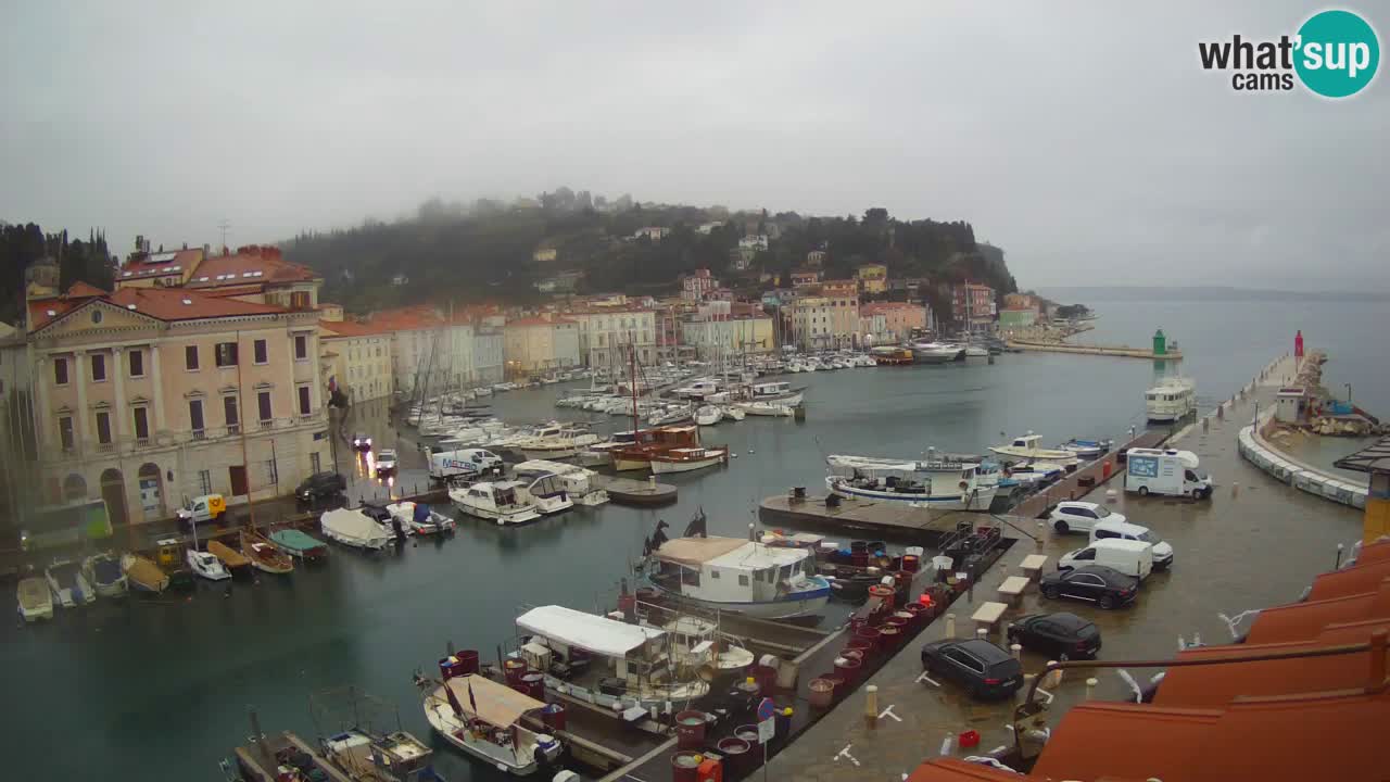 Live-Webcam aus Piran “Mandrač” – Erstaunliche Live-Ansicht von Villa Piranesi