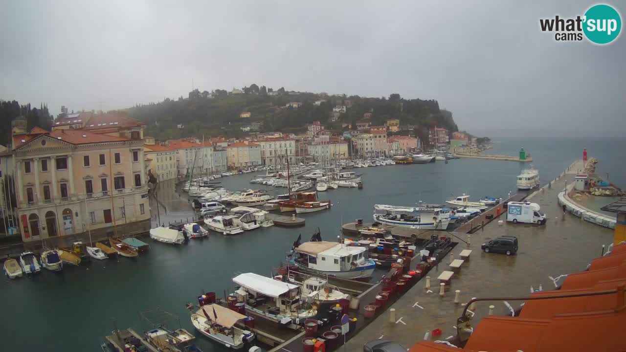 Live webcam from Piran “Mandrač” – Amazing live view from Villa Piranesi