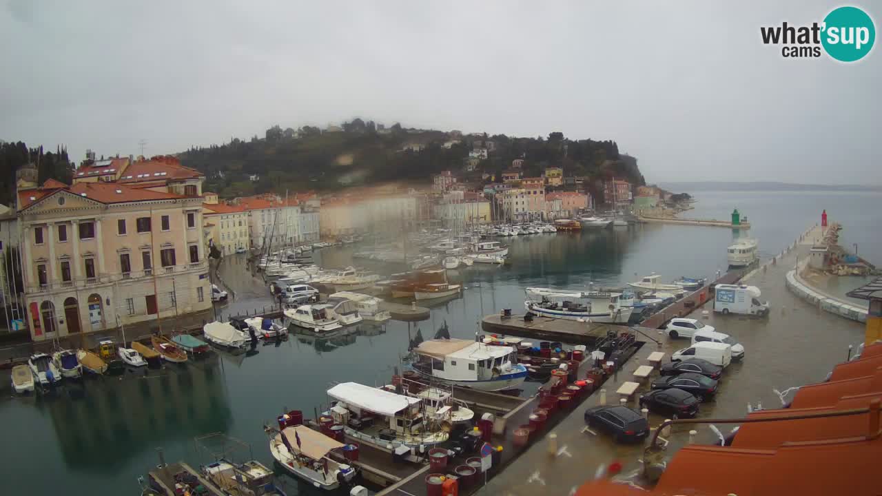 Live webcam from Piran “Mandrač” – Amazing live view from Villa Piranesi