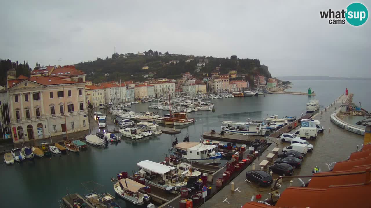 Live-Webcam aus Piran “Mandrač” – Erstaunliche Live-Ansicht von Villa Piranesi
