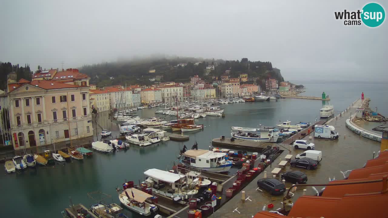 Live webcam da Pirano “Mandrač” – Splendida vista live da Villa Piranesi