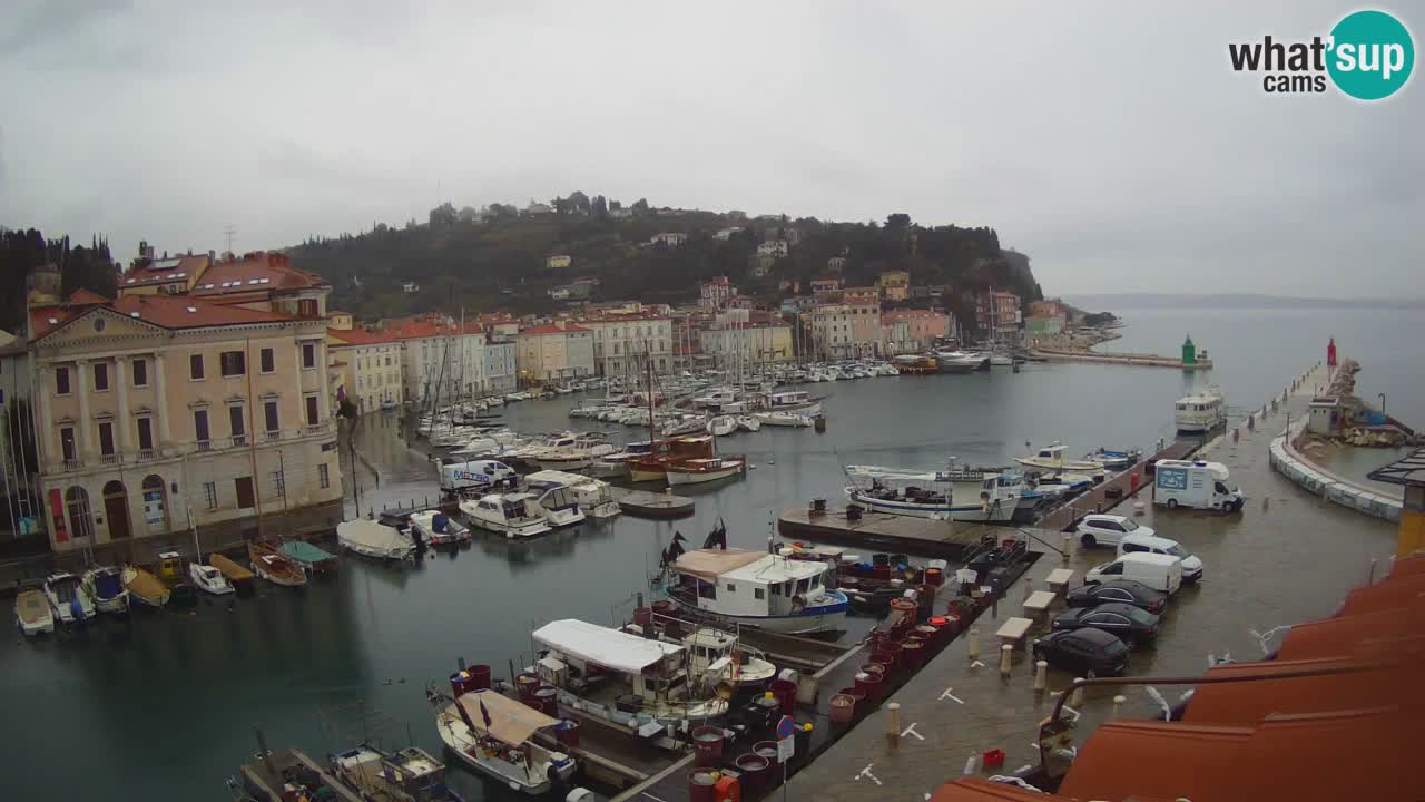 Webcam en direct de Piran “Mandrač” – Incroyable vue en direct de la Villa Piranesi