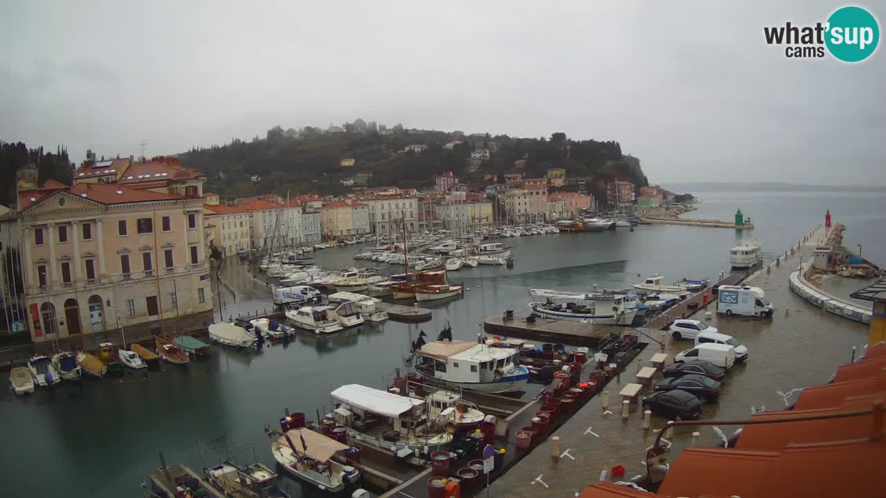 Iz Pirana Spletna kamera v živo “Mandrač” – Neverjeten pogled v živo iz Vile Piranesi