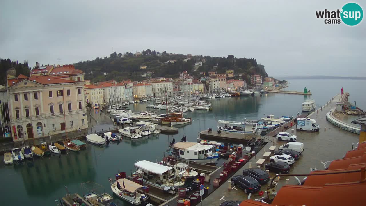 Live webcam da Pirano “Mandrač” – Splendida vista live da Villa Piranesi
