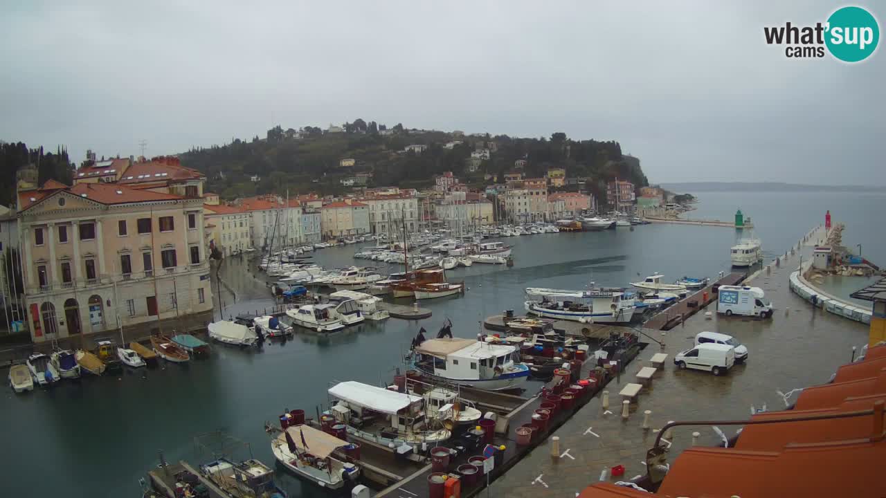 Live-Webcam aus Piran “Mandrač” – Erstaunliche Live-Ansicht von Villa Piranesi