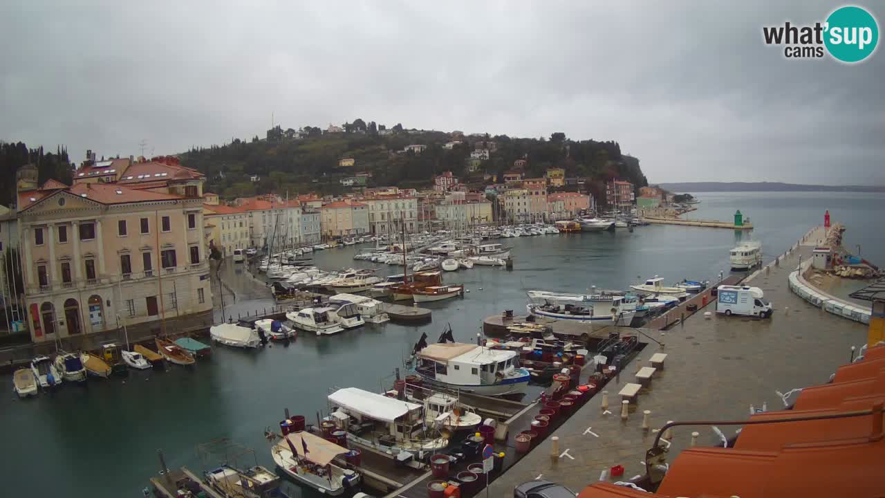 Live webcam da Pirano “Mandrač” – Splendida vista live da Villa Piranesi