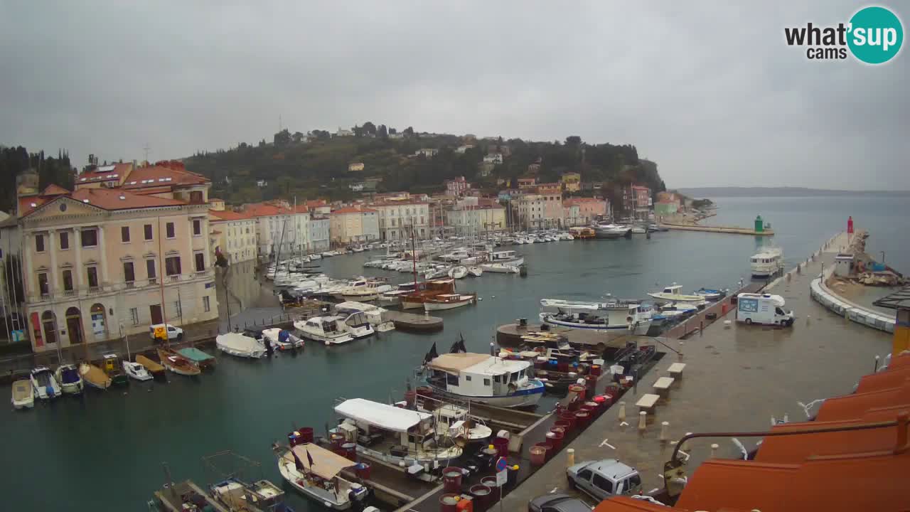 Web kamera uživo iz Pirana “Mandrač” – Nevjerojatan pogled uživo iz Ville Piranesi