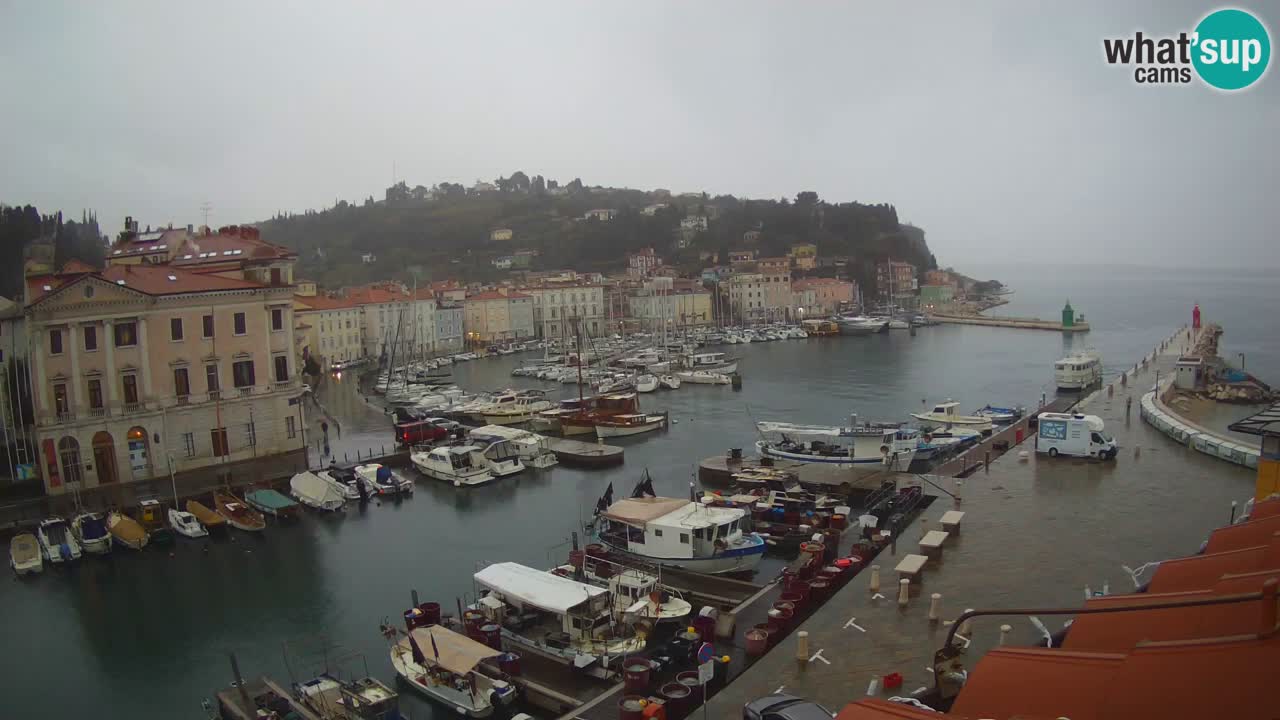 Live webcam da Pirano “Mandrač” – Splendida vista live da Villa Piranesi