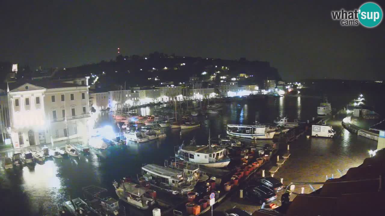 Web kamera uživo iz Pirana “Mandrač” – Nevjerojatan pogled uživo iz Ville Piranesi