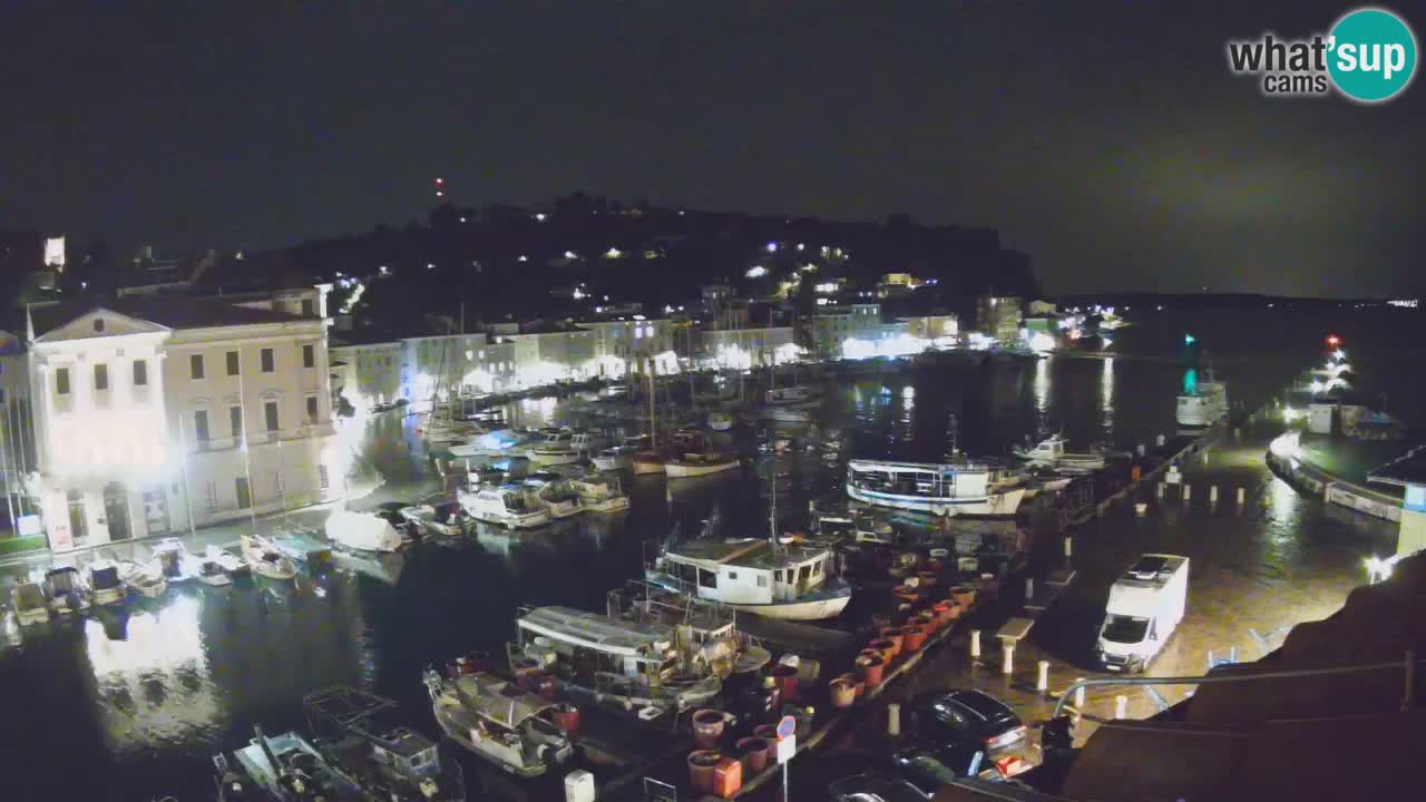 Iz Pirana Spletna kamera v živo “Mandrač” – Neverjeten pogled v živo iz Vile Piranesi