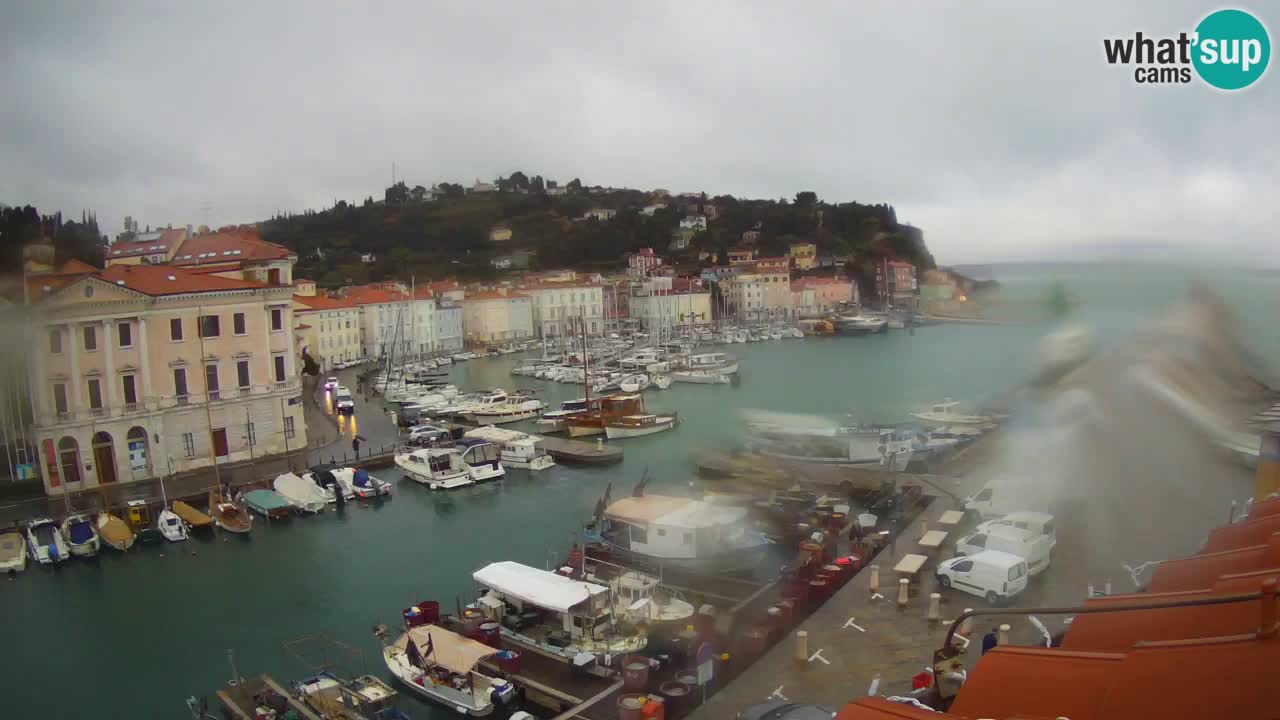 Live-Webcam aus Piran “Mandrač” – Erstaunliche Live-Ansicht von Villa Piranesi