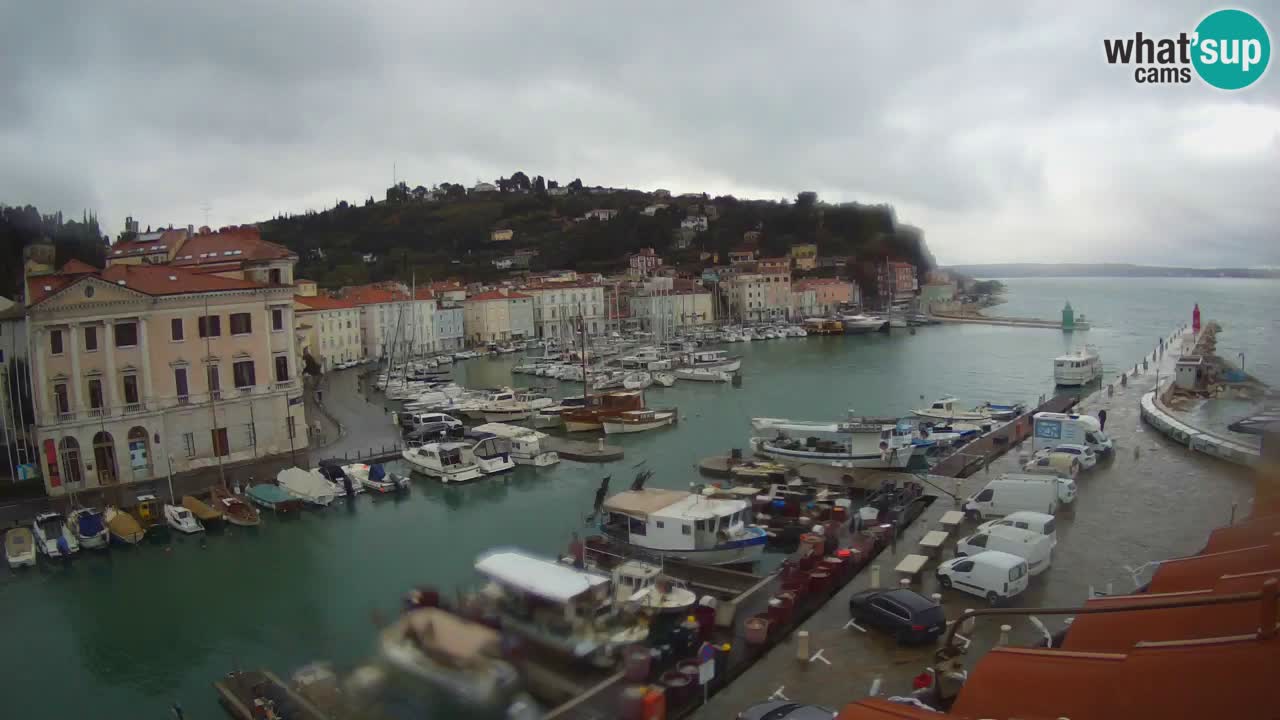 Live webcam da Pirano “Mandrač” – Splendida vista live da Villa Piranesi