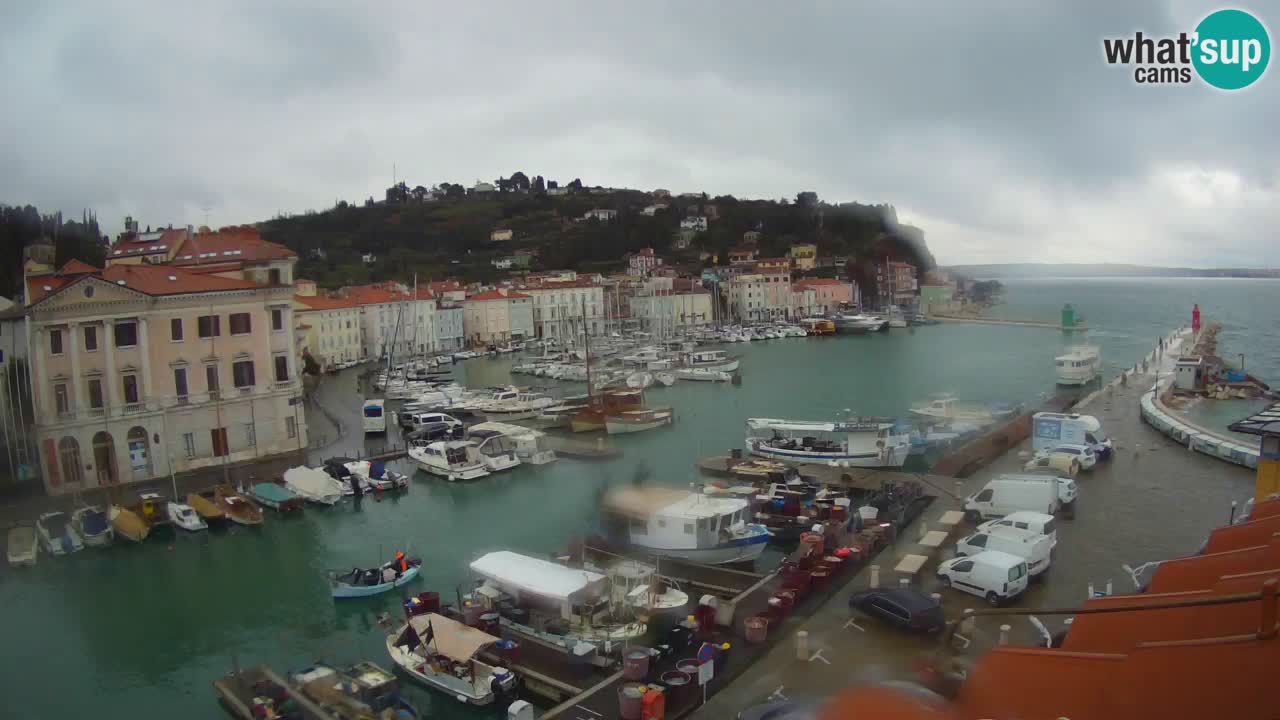 Web kamera uživo iz Pirana “Mandrač” – Nevjerojatan pogled uživo iz Ville Piranesi