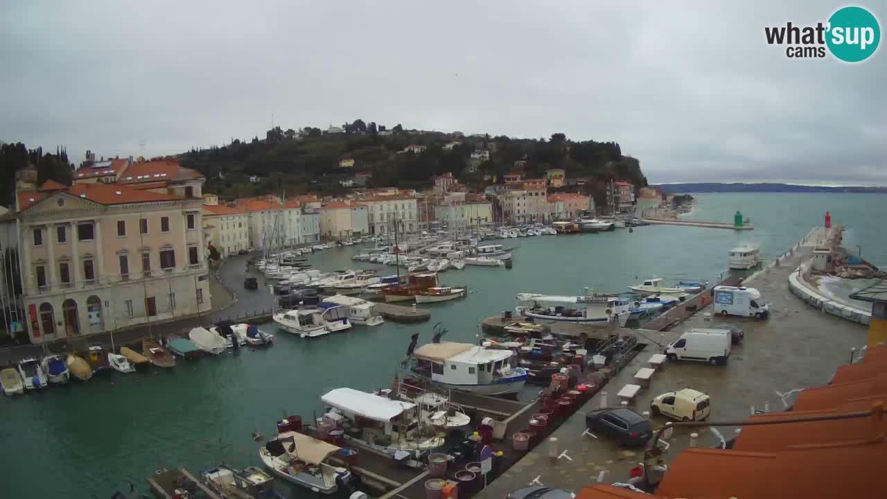 Iz Pirana Spletna kamera v živo “Mandrač” – Neverjeten pogled v živo iz Vile Piranesi