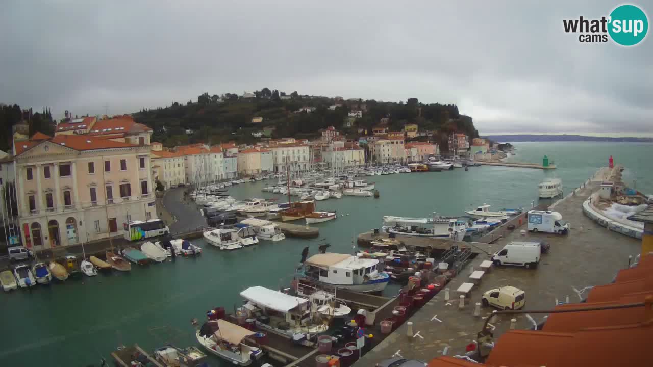 Cámara web en vivo desde Piran “Mandrač” – Increíble vista en vivo desde Villa Piranesi