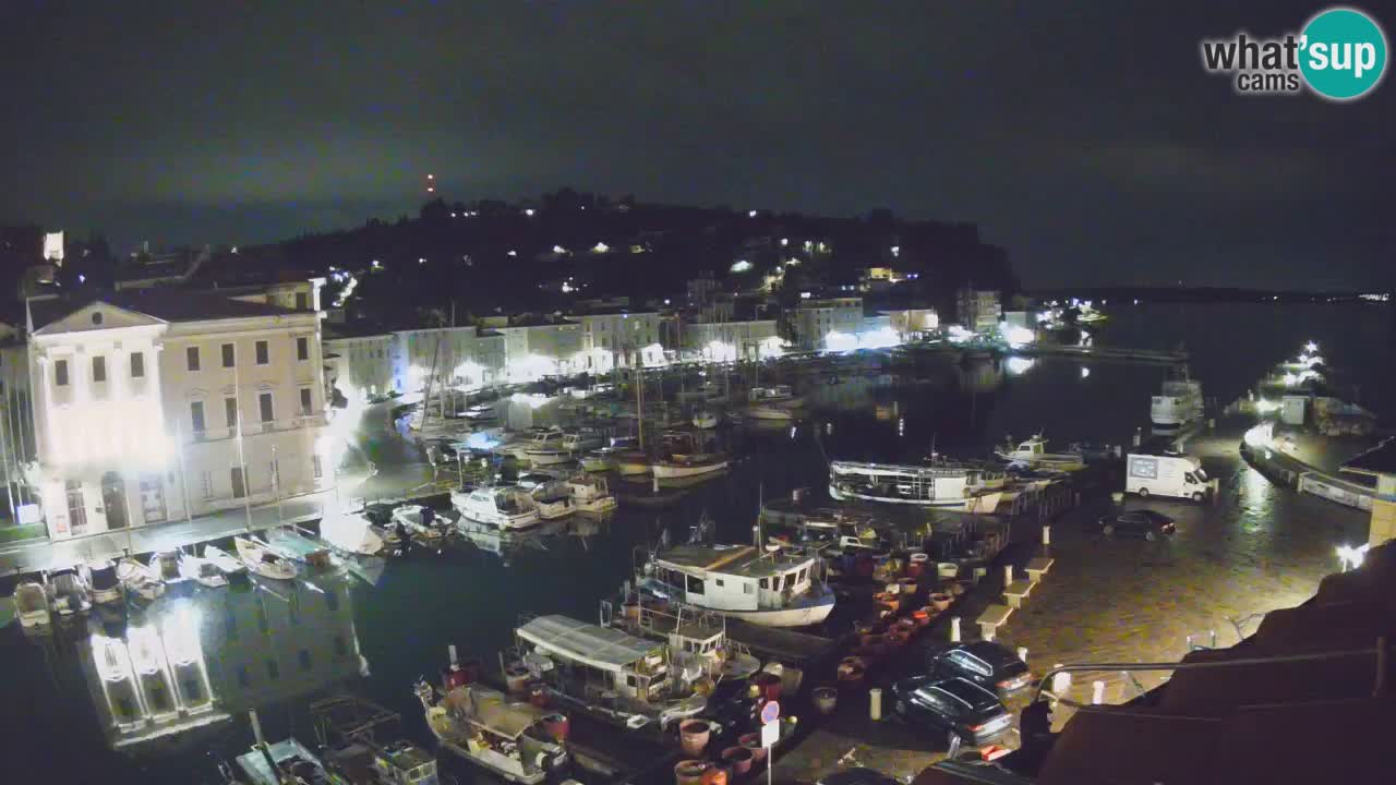 Web kamera uživo iz Pirana “Mandrač” – Nevjerojatan pogled uživo iz Ville Piranesi