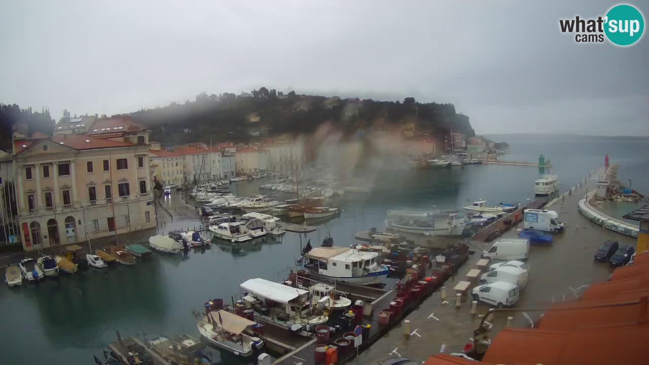 Live-Webcam aus Piran “Mandrač” – Erstaunliche Live-Ansicht von Villa Piranesi