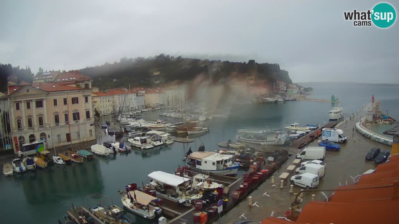 Iz Pirana Spletna kamera v živo “Mandrač” – Neverjeten pogled v živo iz Vile Piranesi