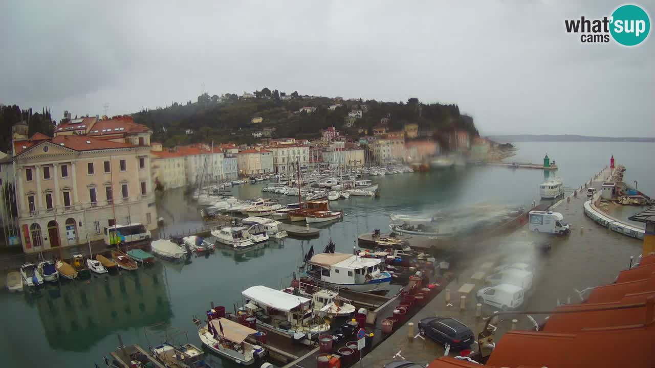 Live webcam da Pirano “Mandrač” – Splendida vista live da Villa Piranesi