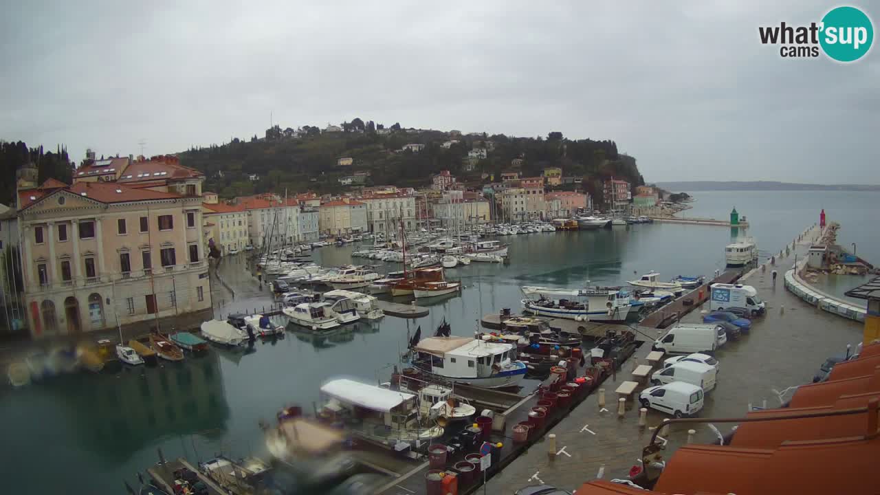 Live webcam from Piran “Mandrač” – Amazing live view from Villa Piranesi