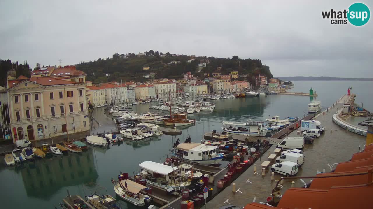 Web kamera uživo iz Pirana “Mandrač” – Nevjerojatan pogled uživo iz Ville Piranesi