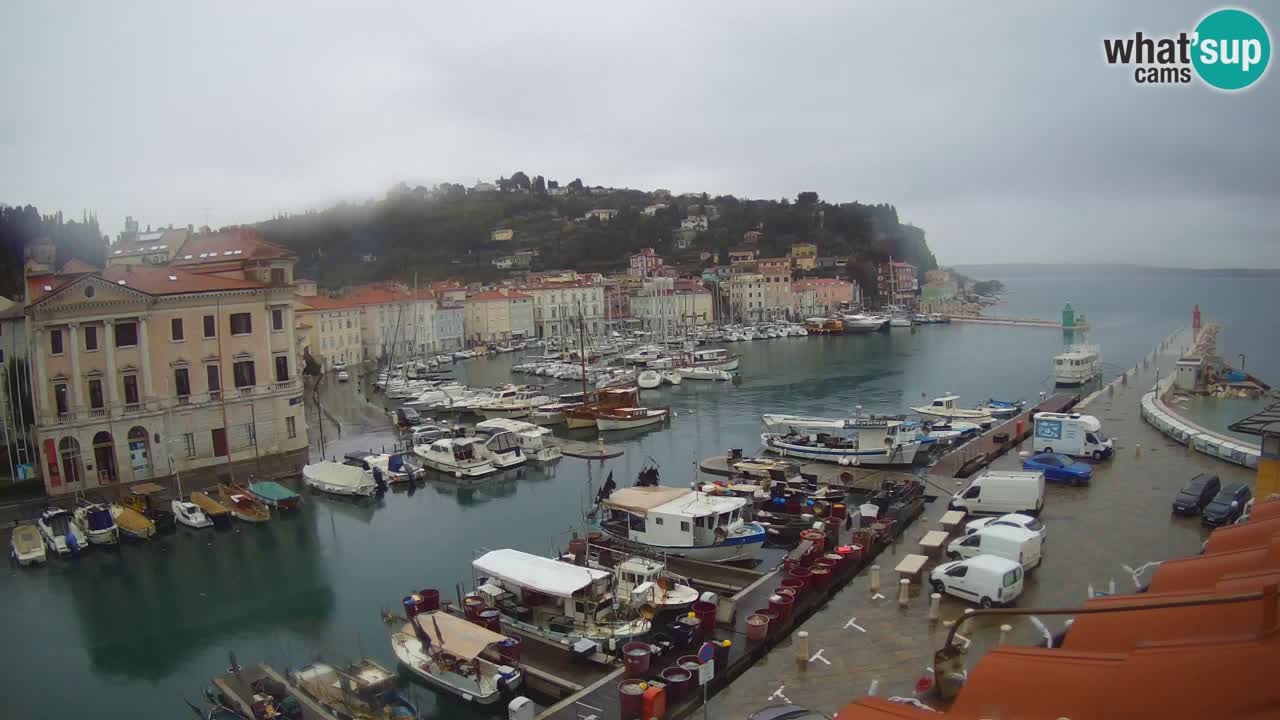Webcam en direct de Piran “Mandrač” – Incroyable vue en direct de la Villa Piranesi