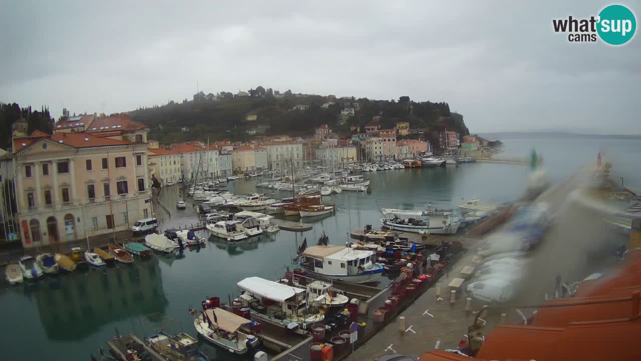 Live webcam da Pirano “Mandrač” – Splendida vista live da Villa Piranesi