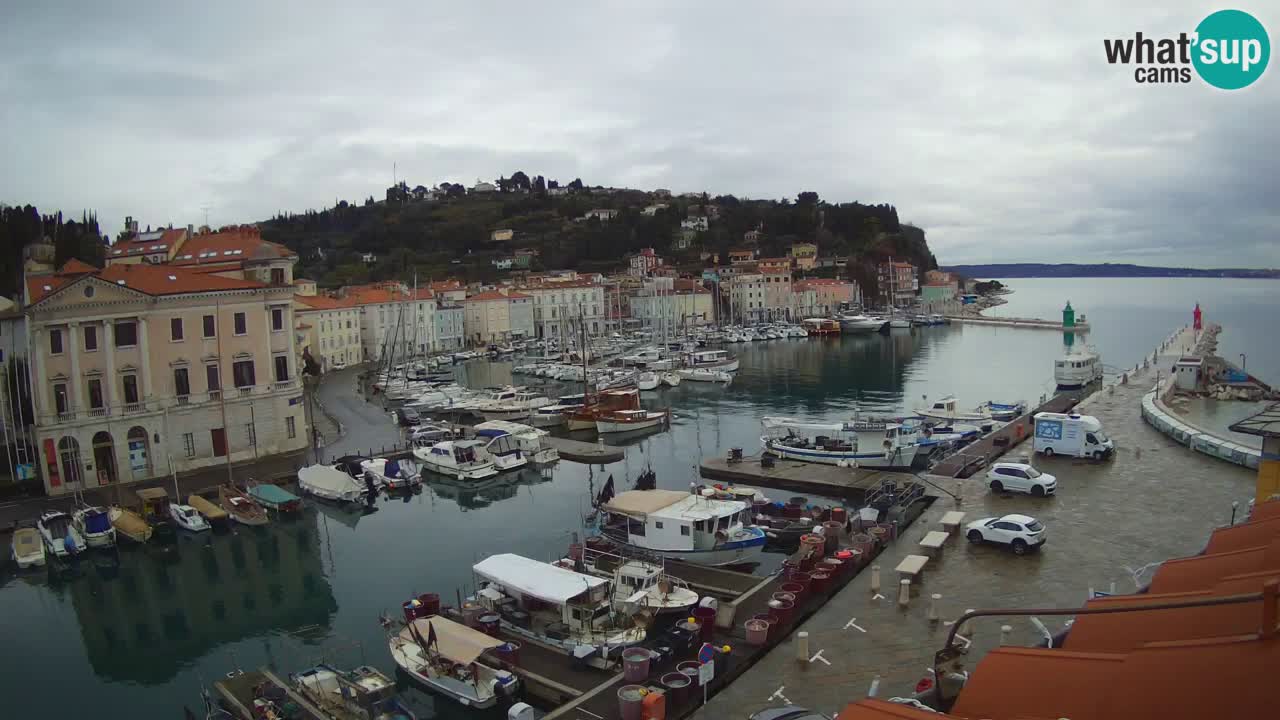 Live webcam da Pirano “Mandrač” – Splendida vista live da Villa Piranesi