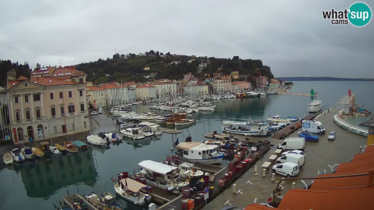 Live-Webcam aus Piran “Mandrač” – Erstaunliche Live-Ansicht von Villa Piranesi