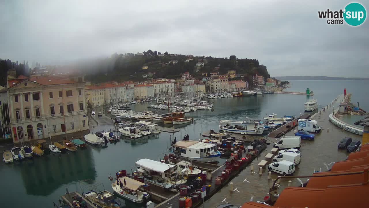 Live webcam from Piran “Mandrač” – Amazing live view from Villa Piranesi
