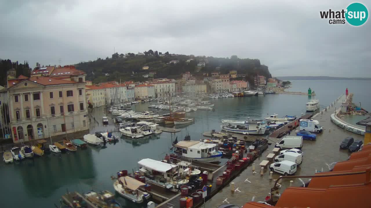 Web kamera uživo iz Pirana “Mandrač” – Nevjerojatan pogled uživo iz Ville Piranesi